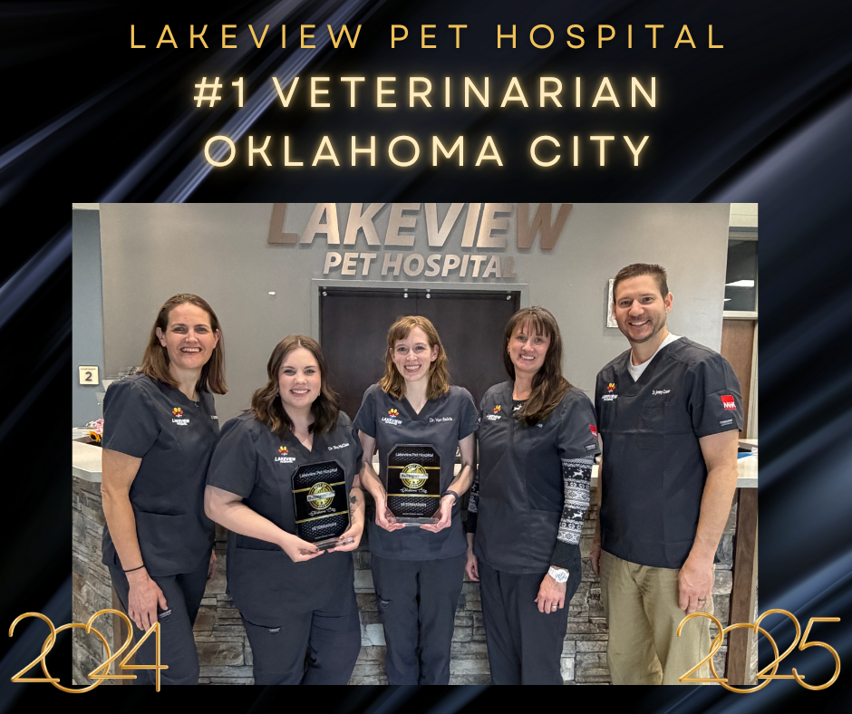 Lakeview Pet Hospital Best of OKC Vet