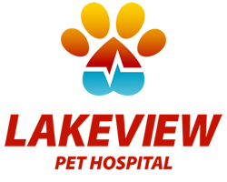 Veterinarian in Oklahoma City, OK | Lakeview Pet Hospital